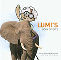 Lumi-Eyes-Sidebar