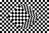 Optical Illusions