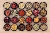 Understanding Chinese Medicine