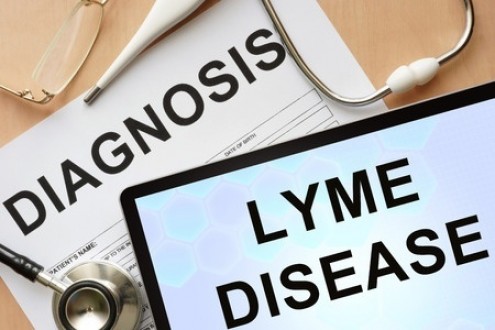 What is Lyme Disease - LG