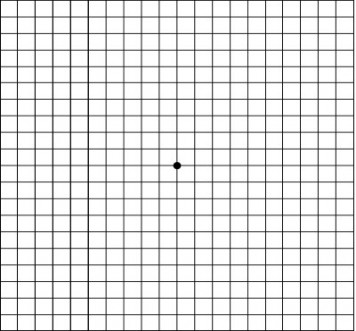 Test8 - Amsler Grid-LR